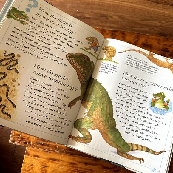 Vtg I Wonder Why Snakes Shed Their Skin & Other Questions About Reptiles Book - Picture 5 of 7